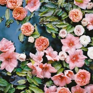 Meet your Posher, Catherine